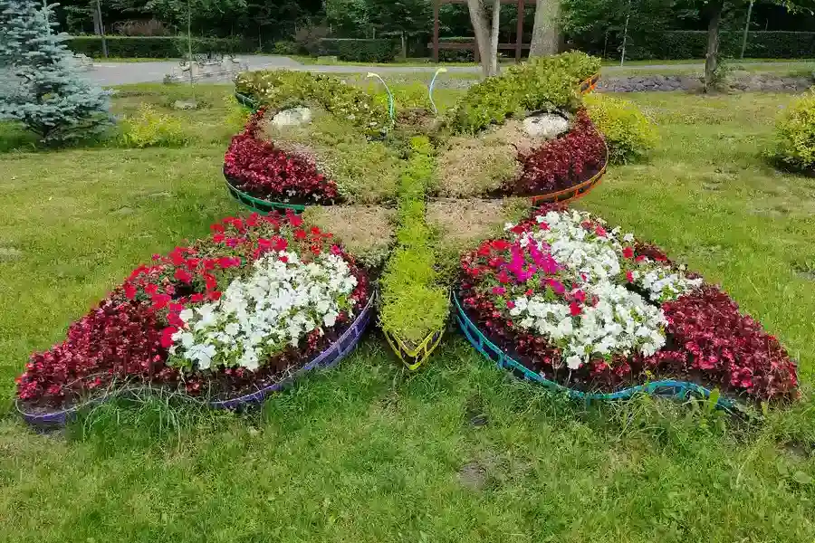 Benefits Of Professional Grading In Landscape Installation in Phoenix, AZ