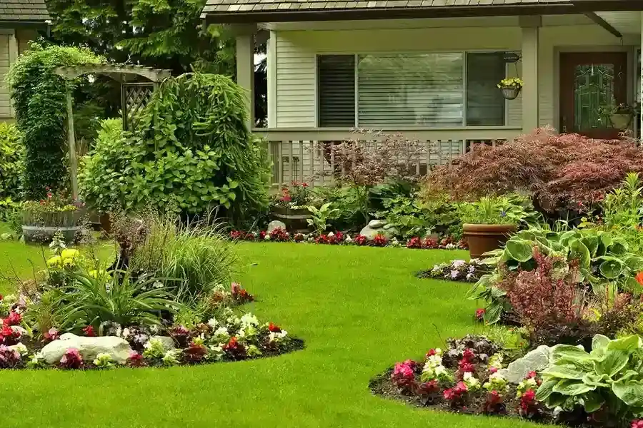 The Benefits Of Professional Backyard Landscaping Services Phoenix, AZ