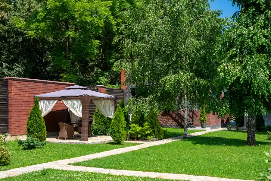 The Benefits Of Professional Backyard Landscaping Services in Phoenix, AZ